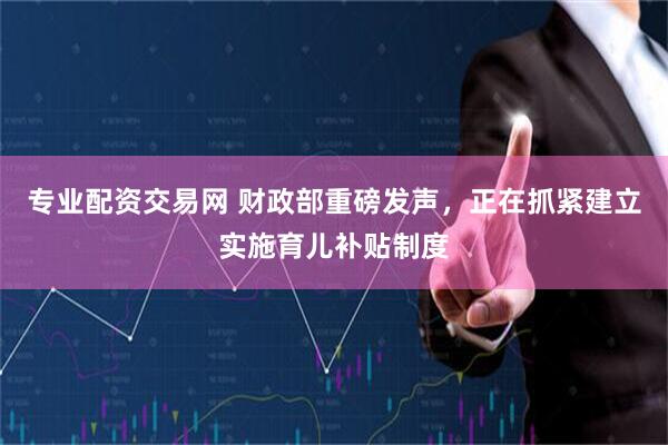专业配资交易网 财政部重磅发声，正在抓紧建立实施育儿补贴制度