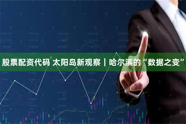 股票配资代码 太阳岛新观察｜哈尔滨的“数据之变”